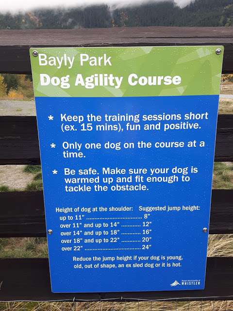 Bayly Park Dog Off-Leash Area